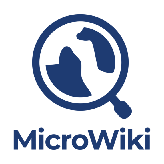 MicroWiki