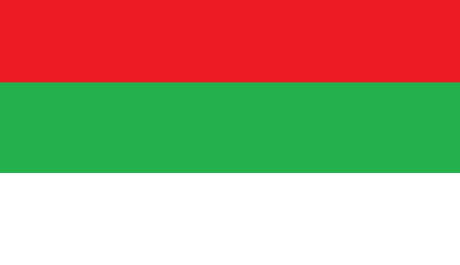 Файл:Svetlorussia flag.jpg