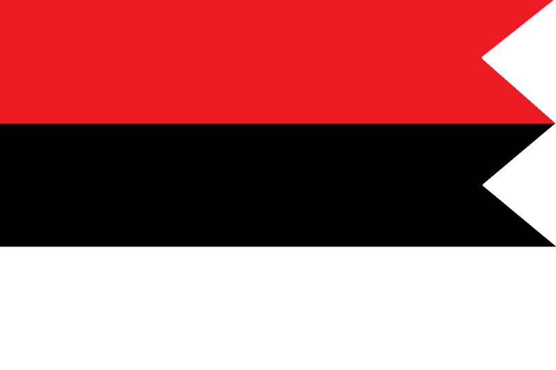 Файл:Флаг Республики Тензария.png