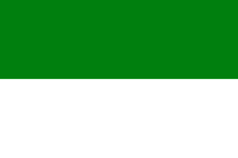 Файл:Флаг Бравиграда.png