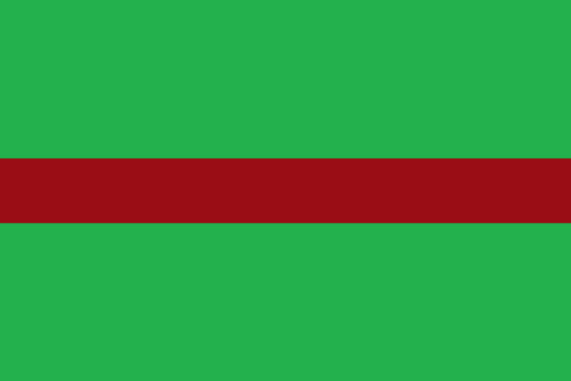 Файл:Флаг Тензаро-Чернышевии.png