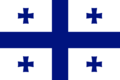 Временный государственный флаг Республики Финляндия и Балтийской Республики (18 января — 7 февраля 2015)