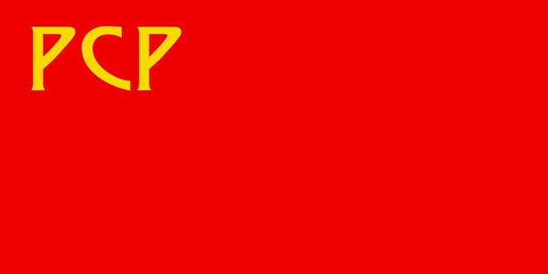 Файл:Флаг РСР.jpg