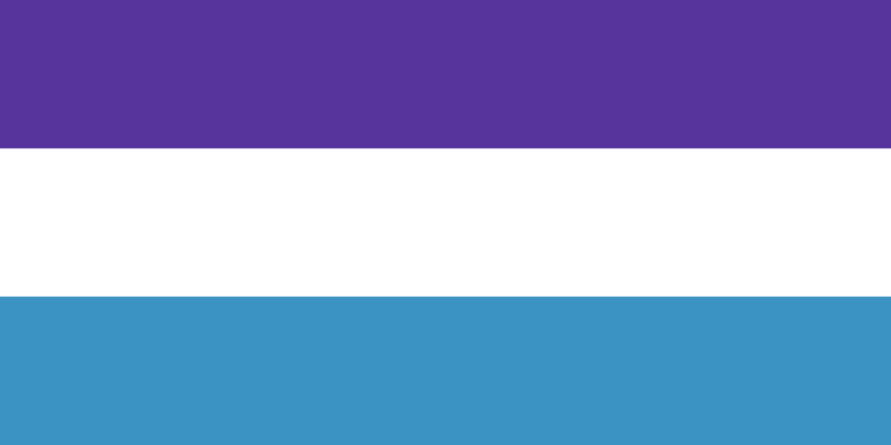 Файл:Бревский флаг.png
