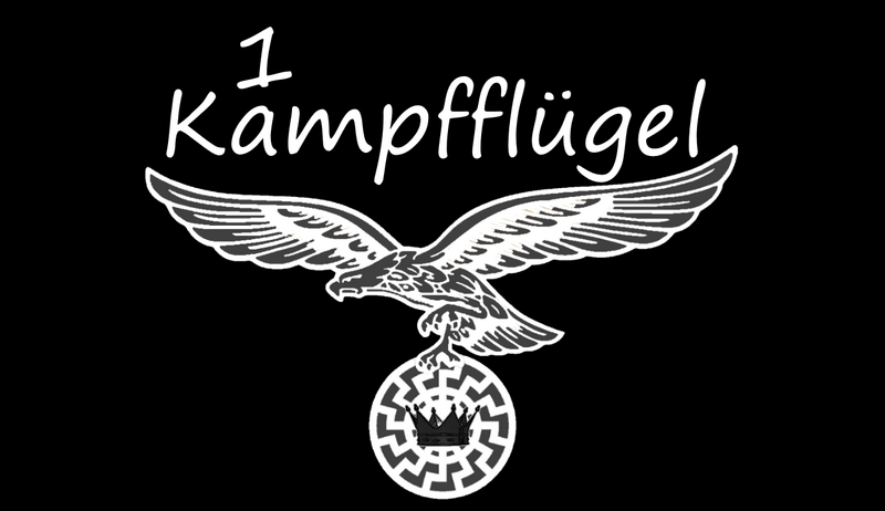 Файл:1 Kampfflügel.png