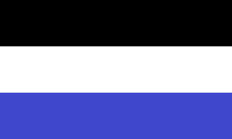 Файл:Flag of Loneyard (black-white-blue).png