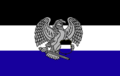 Флаг Республики Лонмаалия (13 января 2016 — 14 февраля 2016)