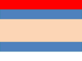 Флаг ДРЗ (8 июня — 7 июля 2014)