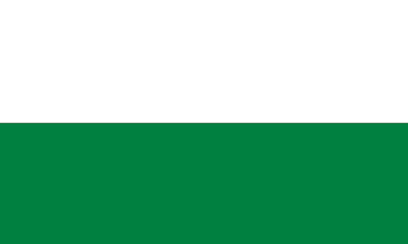 Файл:Паневикская волость флаг.png