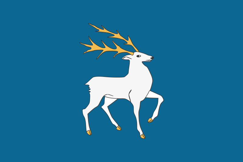 Файл:Флаг Романовского столичного округа.svg