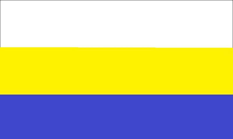 Файл:Флаг Новоукраины.jpg